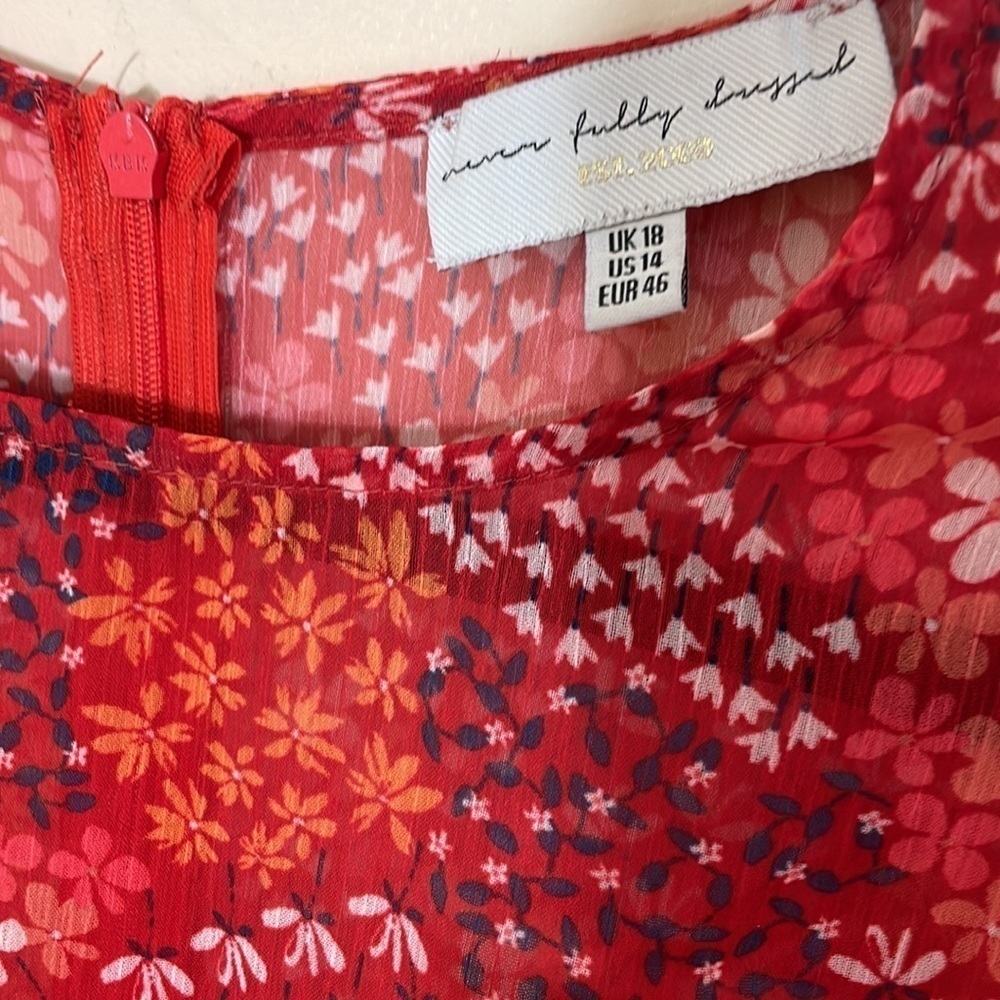 Asos Curve 14 Never Fully Dressed red floral print dress - Picture 10 of 12